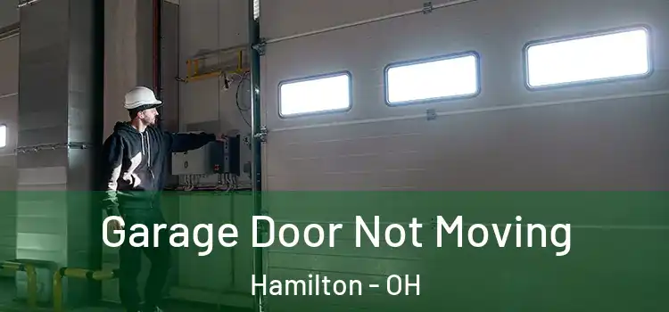  Garage Door Not Moving Hamilton - OH
