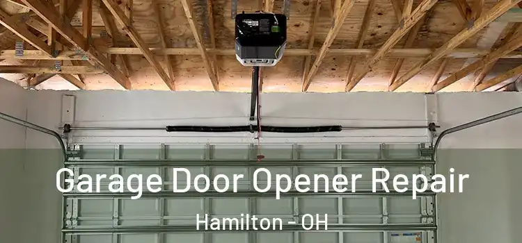 Garage Door Opener Repair Hamilton - OH